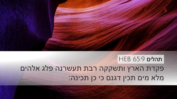 תהלים 65:9 HEB Bible Verse Image