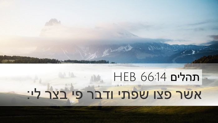 תהלים 66:14 HEB Bible Verse Image