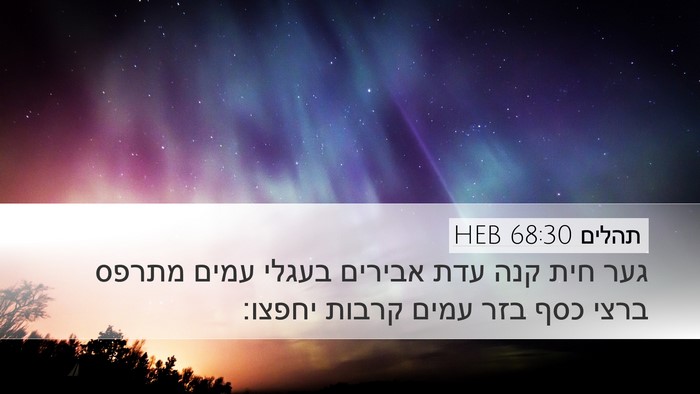 תהלים 68:30 HEB Bible Verse Image