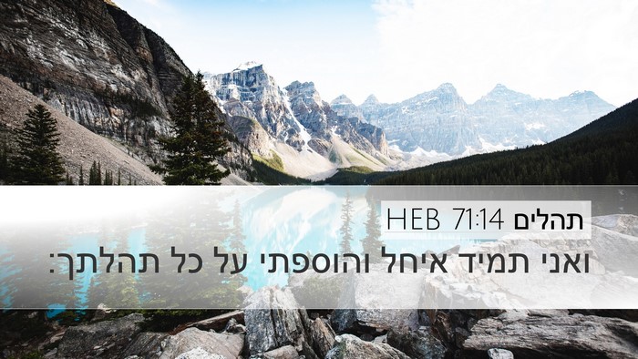תהלים 71:14 HEB Desktop Wallpaper - ואני תמיד איחל והוספתי על - Desktop Bible Verse Wallpaper