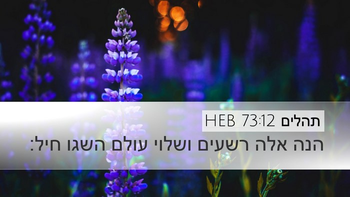 תהלים 73:12 HEB Bible Verse Image