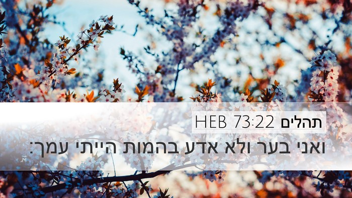 תהלים 73:22 HEB Bible Verse Image