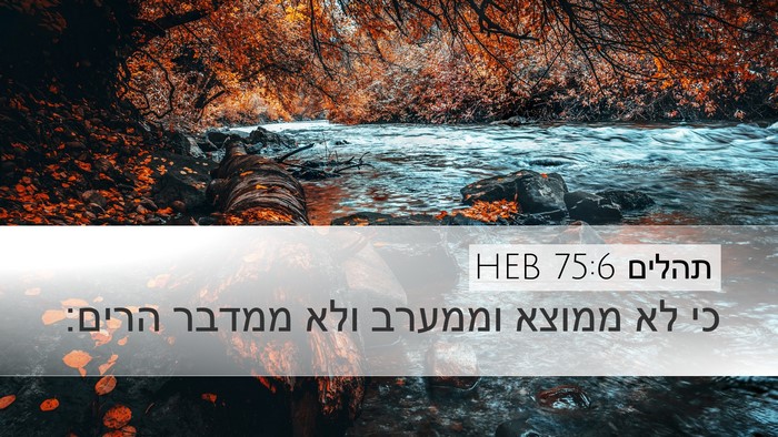 תהלים 75:6 HEB Bible Verse Image