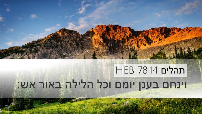 תהלים 78:14 HEB Bible Verse Image