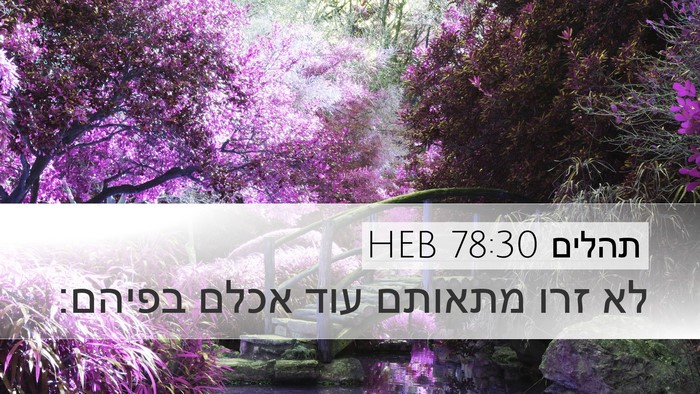 תהלים 78:30 HEB Bible Verse Image