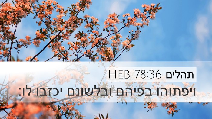 תהלים 78:36 HEB Bible Verse Image