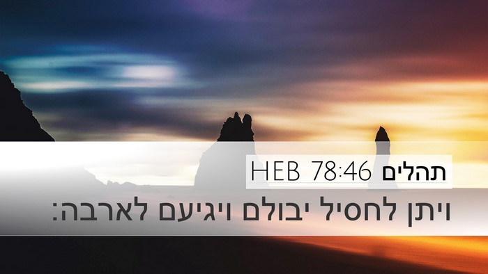 תהלים 78:46 HEB Desktop Wallpaper - ויתן לחסיל יבולם ויגיעם - Desktop Bible Verse Wallpaper