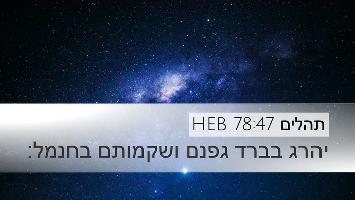 תהלים 78:47 HEB Desktop Wallpaper - יהרג בברד גפנם ושקמותם - Desktop Bible Verse Wallpaper
