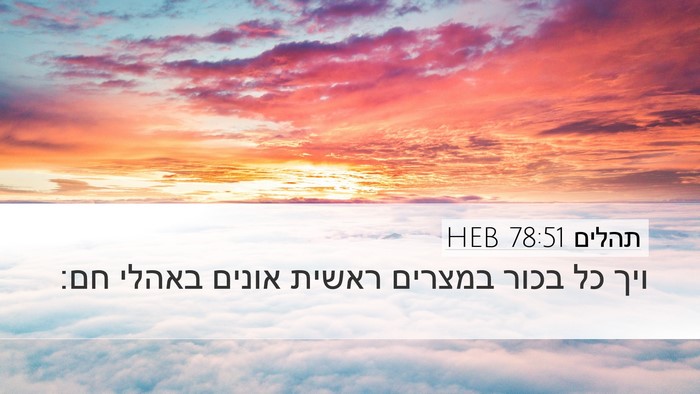 תהלים 78:51 HEB Bible Verse Image