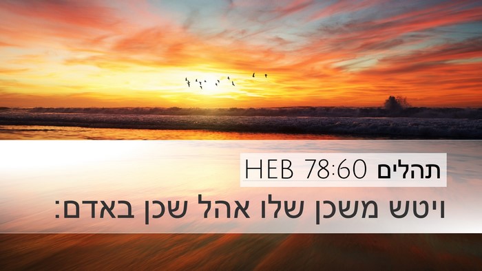 תהלים 78:60 HEB Bible Verse Image