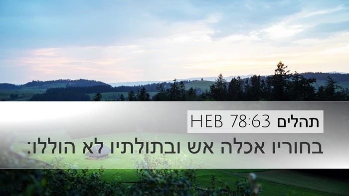 תהלים 78:63 HEB Desktop Wallpaper - בחוריו אכלה אש ובתולתיו לא - Desktop Bible Verse Wallpaper