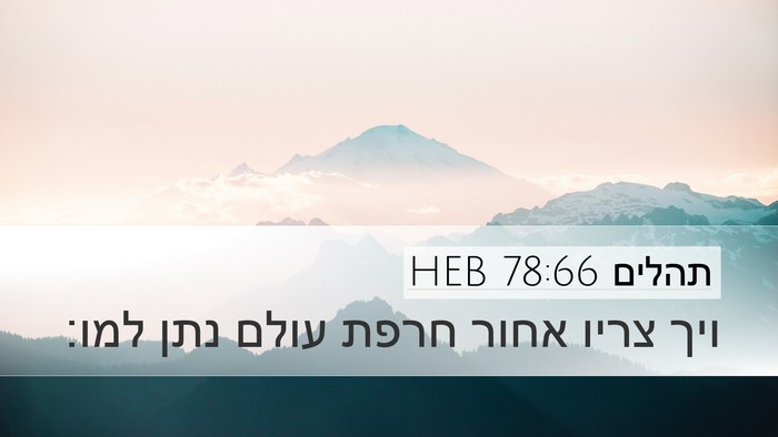 תהלים 78:66 HEB Desktop Wallpaper - ויך צריו אחור חרפת עולם נתן - Desktop Bible Verse Wallpaper