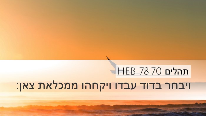 תהלים 78:70 HEB Bible Verse Image