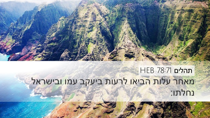תהלים 78:71 HEB Desktop Wallpaper - מאחר עלות הביאו לרעות - Desktop Bible Verse Wallpaper