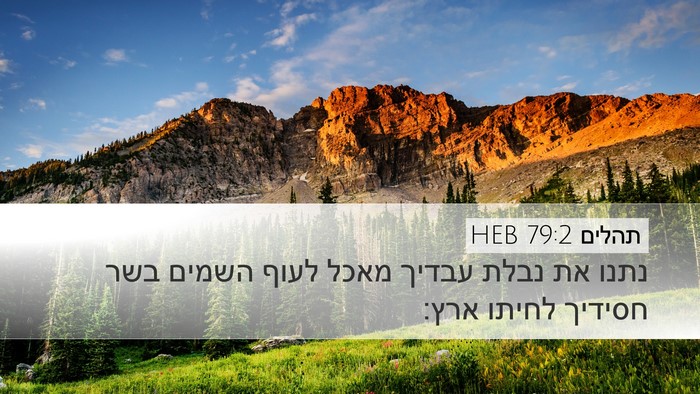 תהלים 79:2 HEB Desktop Wallpaper - נתנו את נבלת עבדיך מאכל - Desktop Bible Verse Wallpaper