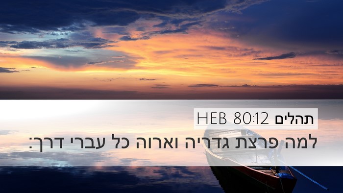 תהלים 80:12 HEB Desktop Wallpaper - למה פרצת גדריה וארוה כל - Desktop Bible Verse Wallpaper