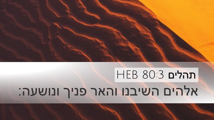 תהלים 80:3 HEB Bible Verse Image