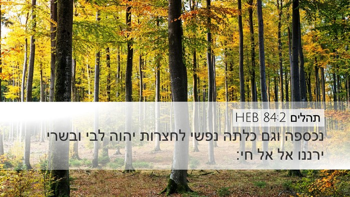 תהלים 84:2 HEB Bible Verse Image