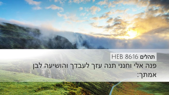 תהלים 86:16 HEB Bible Verse Image