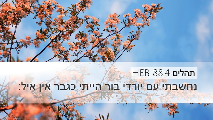 תהלים 88:4 HEB Bible Verse Image