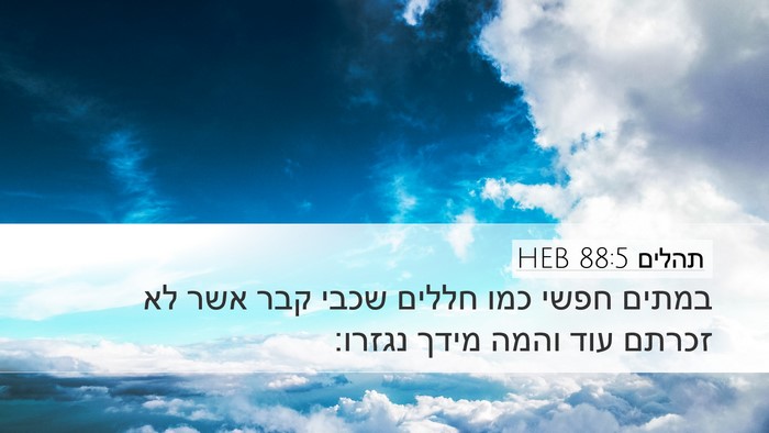 תהלים 88:5 HEB Bible Verse Image