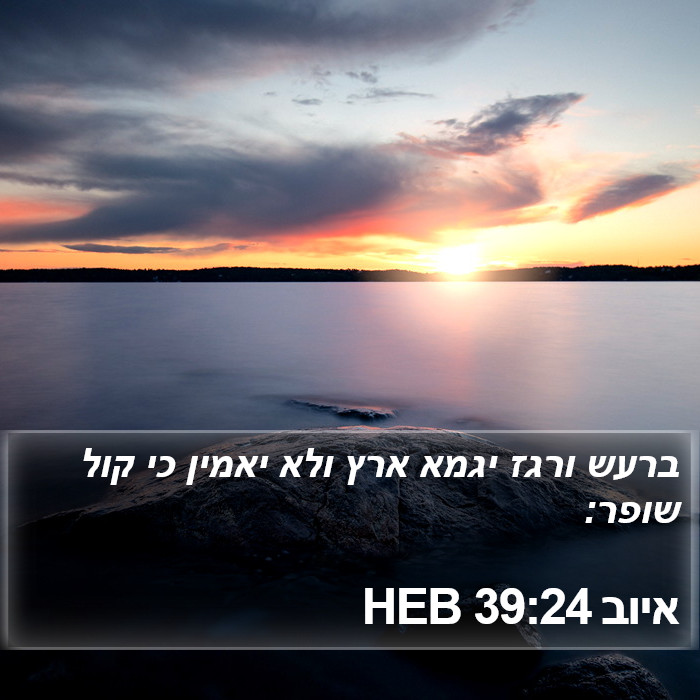 איוב 39:24 HEB - ברעש ורגז יגמא ארץ ולא