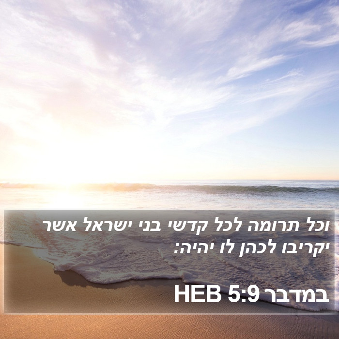 במדבר 5:9 HEB - וכל תרומה לכל קדשי בני