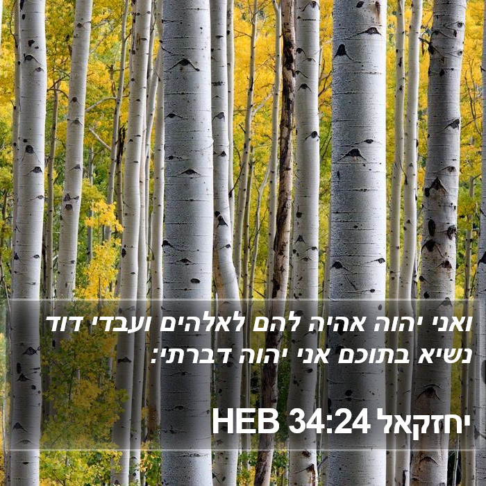 יחזקאל 34:24 HEB - ואני יהוה אהיה להם לאלהים