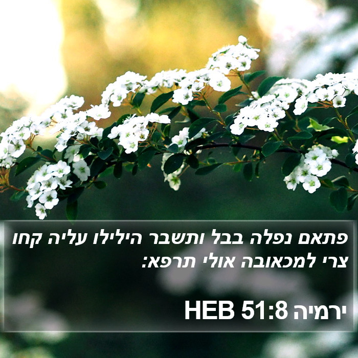ירמיה 51:8 HEB - פתאם נפלה בבל ותשבר הילילו