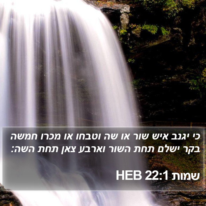 שמות 22:1 HEB - כי יגנב איש שור או שה וטבחו