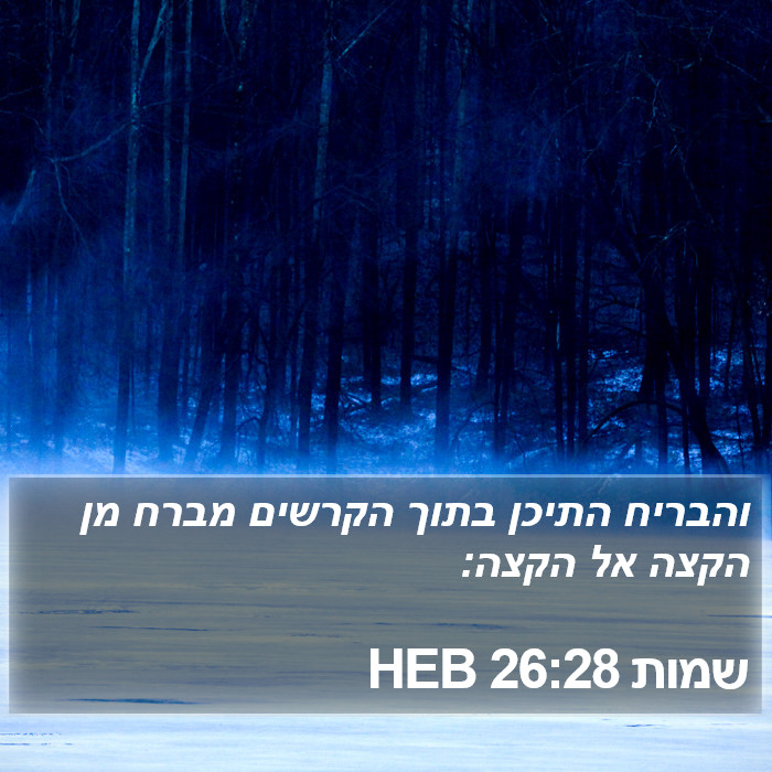 שמות 26:28 HEB - והבריח התיכן בתוך הקרשים