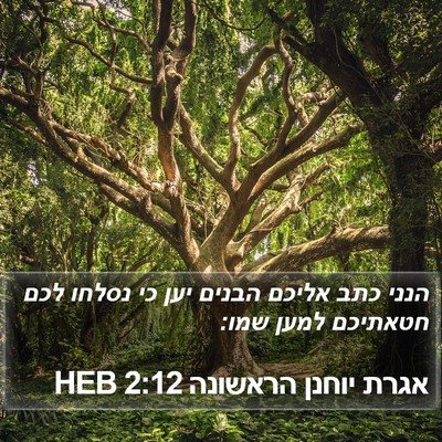 אגרת יוחנן הראשונה 2:12 HEB Bible Verse Image