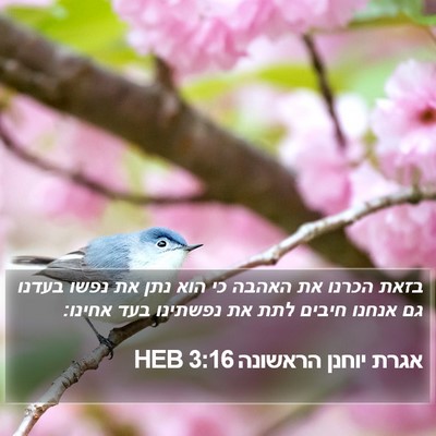 אגרת יוחנן הראשונה 3:16 HEB Bible Verse Image