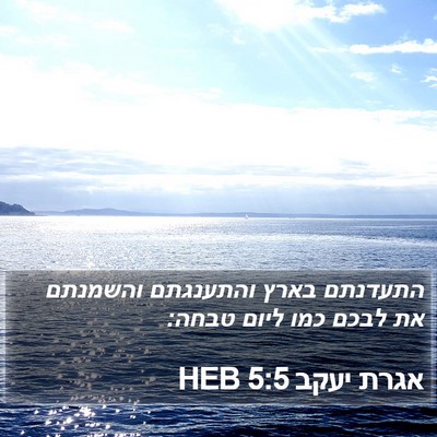 אגרת יעקב 5:5 HEB Bible Verse Image