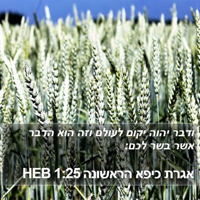 אגרת כיפא הראשונה 1:25 HEB Bible Verse Image