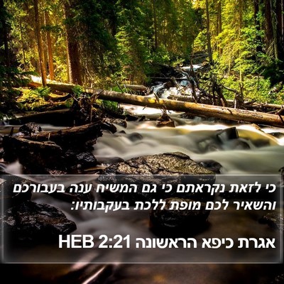 אגרת כיפא הראשונה 2:21 HEB Bible Verse Image