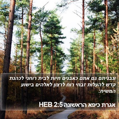 אגרת כיפא הראשונה 2:5 HEB Bible Verse Image