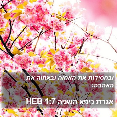 אגרת כיפא השניה 1:7 HEB Bible Verse Image