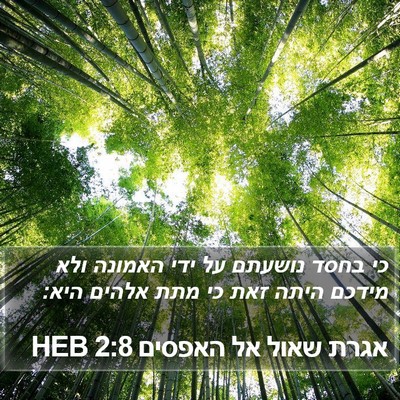 אגרת שאול אל האפסים 2:8 HEB Bible Verse Image
