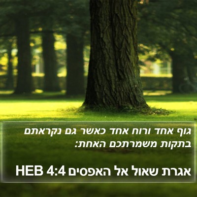 אגרת שאול אל האפסים 4:4 HEB Bible Verse Image