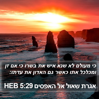 אגרת שאול אל האפסים 5:29 HEB Bible Verse Image