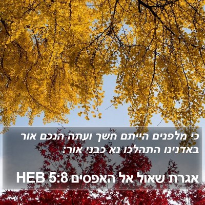 אגרת שאול אל האפסים 5:8 HEB Bible Verse Image