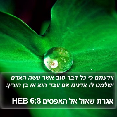 אגרת שאול אל האפסים 6:8 HEB Bible Verse Image