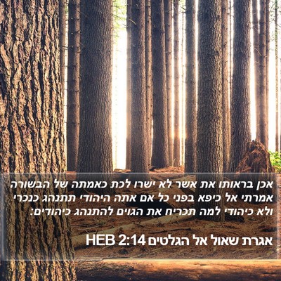 אגרת שאול אל הגלטים 2:14 HEB Bible Verse Image