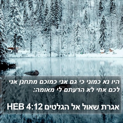 אגרת שאול אל הגלטים 4:12 HEB Bible Verse Image