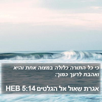 אגרת שאול אל הגלטים 5:14 HEB Bible Verse Image