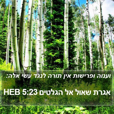 אגרת שאול אל הגלטים 5:23 HEB Bible Verse Image