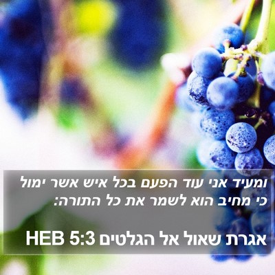 אגרת שאול אל הגלטים 5:3 HEB Bible Verse Image