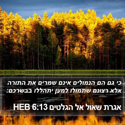 אגרת שאול אל הגלטים 6:13 HEB Bible Verse Image