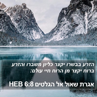 אגרת שאול אל הגלטים 6:8 HEB Bible Verse Image